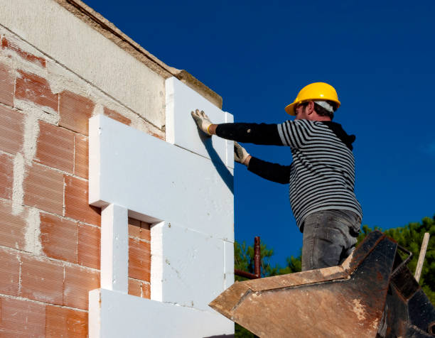 Best Eco-Friendly Insulation in Pecan Acres, TX
