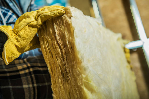 Best Geographic-Specific Insulation Services in Pecan Acres, TX