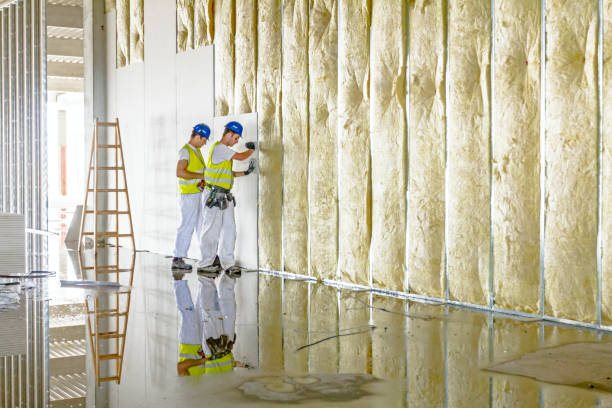 Best Blown-in Insulation in Pecan Acres, TX